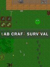 Lab Craft Survival Image