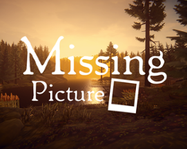 Missing Picture Image