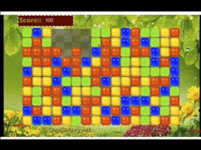 Wild Blitz 3 - Puzzle Games Image