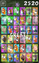 Memory Match Animals Image