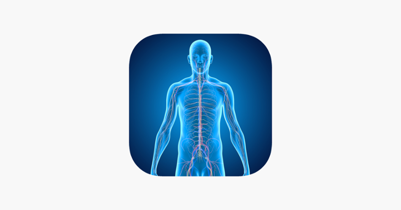 Nervous System Medical Terms Game Cover