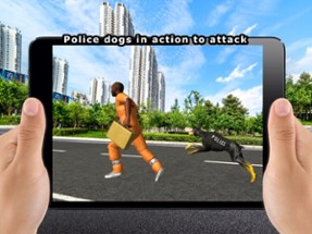 Police Dog Crime Chasing Image