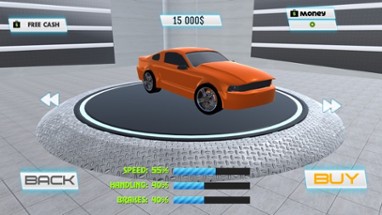 Real Car Simulator Image
