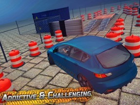 Real Drive and Park Sim Image