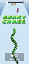 Snaky Chase Image