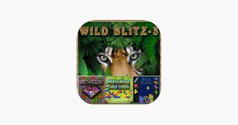 Wild Blitz 3 - Puzzle Games Game Cover