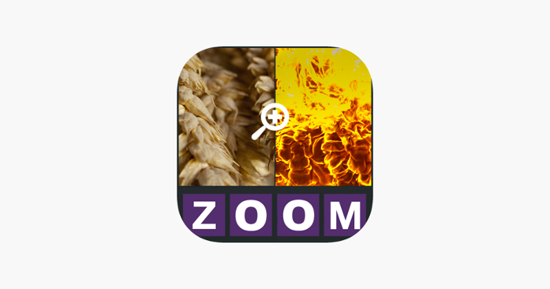 Zoom Quiz - Guess what is the picture, new fun puzzle! Game Cover