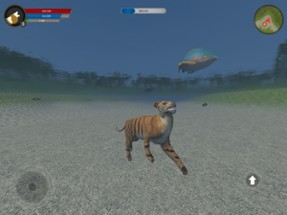 Asian Tiger Survival Simulator Image
