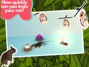 Rat Zone Image