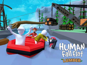 Human: Fall Flat Image