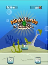 Tiny Ninja Turtles Jump Around Up &amp; Down On Rooftop Image