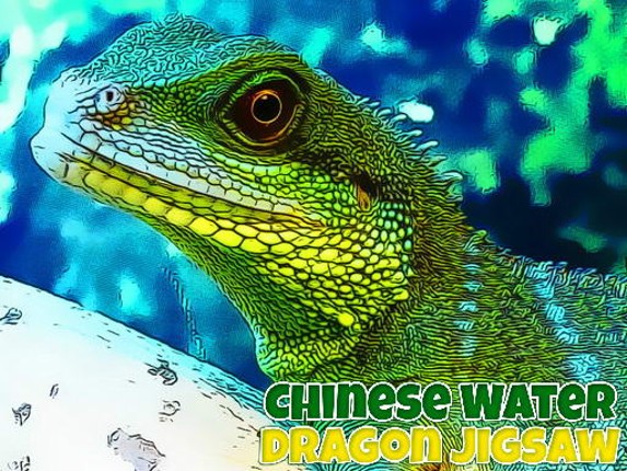 Chinese Water Dragon Jigsaw Game Cover