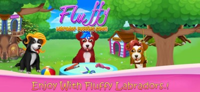 Fluffy Labrador Puppies Salon Image