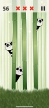 Whack-a-Panda Image