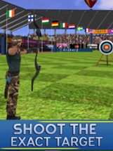 Archery Target Simulation Image