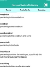 Nervous System Medical Terms Image