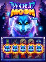 Full House Casino: Slots Game Image