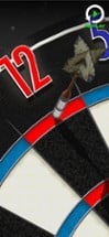 Bulls i Darts: Masters Edition Image