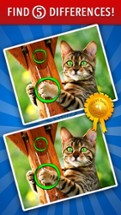 Find the Differences! ~ Free Photo Puzzle Games Image