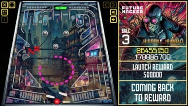 Hidden Pinball Image