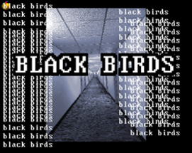 Black Birds Image