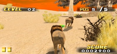 Savanna Race Image