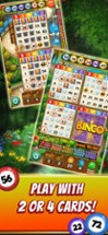 Bingo game Quest Summer Garden Image
