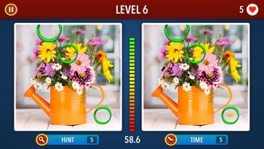 Find the Differences! ~ Free Photo Puzzle Games Image