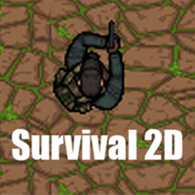 Survival 2D Image