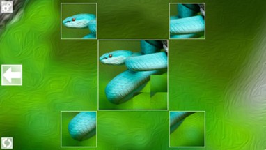 Puzzle Art: Snakes Image