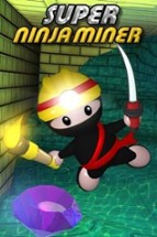 Super Ninja Miner Image