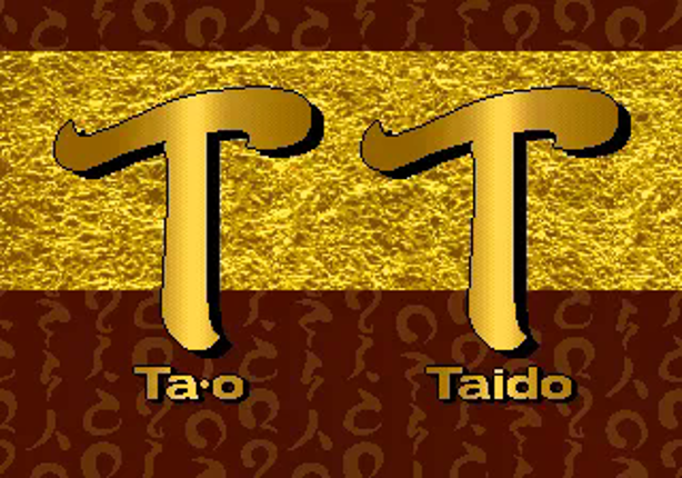 Tao Taido Game Cover