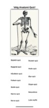 Anatomi Image