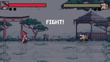 Mini Fight Image