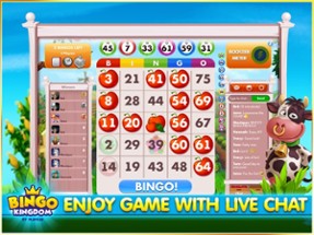 Bingo Kingdom™ - Bingo Live Image