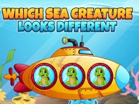 Which Sea Creature Looks Different Image