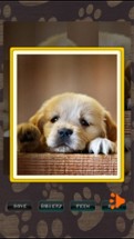 Cute Puppies Puzzle Image