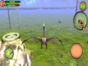 Pterosaur Flight Simulator 3D Image