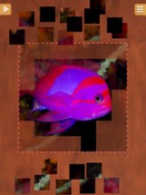 Cool Fish Jigsaw Puzzles - Fun Logical Games Image