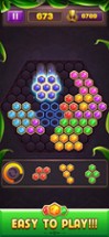 Hexa Block Puzzle Star Gem Image