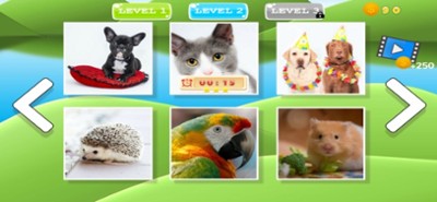 Puzzle Pets Dogs Cats Game Image