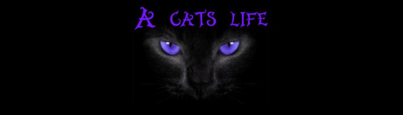 A cat's life Game Cover