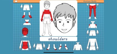 Human Body -Montessori Anatomy Image