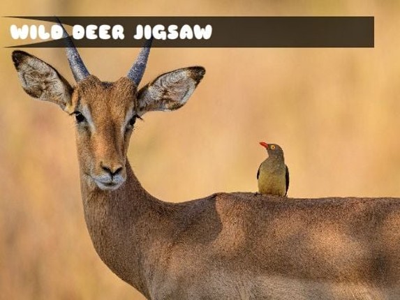Wild Deer Jigsaw Game Cover