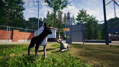 Animal Shelter: Prologue Image