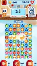 Crazy Fruit Match 3 Game - Infinite Puzzle Adventure and Crush Mania Image