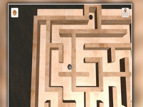 Labyrinth Trap Escape Image
