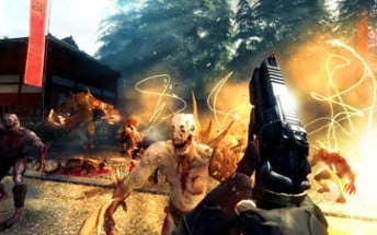 Shadow Warrior Image