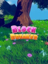 Block Breaker Image