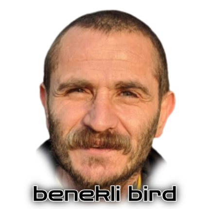 Benekli Bird Game Cover